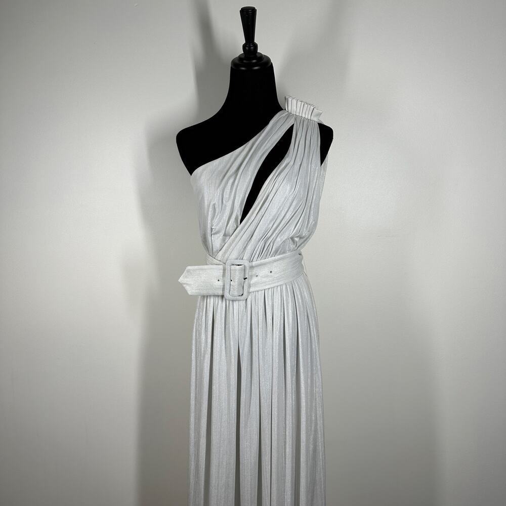 Retrofete Platinum Andrea One Shoulder Pleated Metallic Jersey Gown Small - Picture 4 of 14